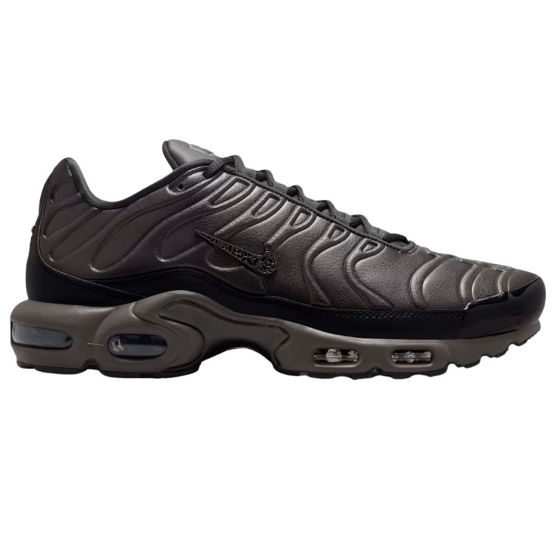 Кросівки чоловічі Nike Air Max Plus HJ4519-200